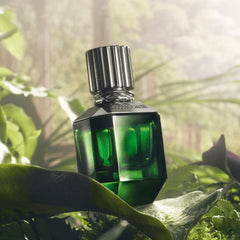 Roberto Cavalli,Men Perfumes,Fragnance For Men,Long lasting,Makeup Stash Pakistan