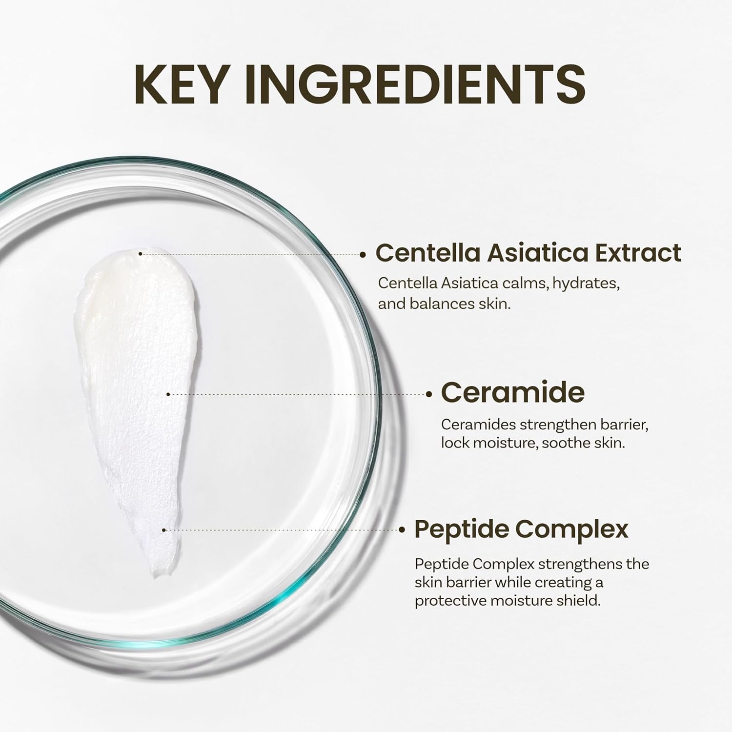 Ongredients,Cleanser,korean cleanser,Daily facial cleanser,Soothing korean cleanser,Makeupstashpk