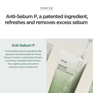 Gentle Korean Foam Cleanser, Sensitive Skin, Oily Skin ,Pore Deep Cleansing Foam - Makeup Stash Pakistan