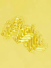 Sheglam Jelly Wow Hydrating Lip Oil - Grape Fruit Glow - Makeup Stash Pakistan