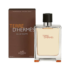 TERRE DE HERMES MEN EDT 100ML - Makeup Stash Pakistan