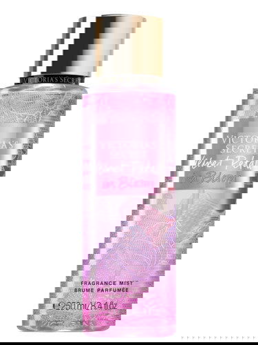 VICTORIA'S SECRET VELVET PETAL IN BLOOM e-250ml - Makeup Stash Pakistan