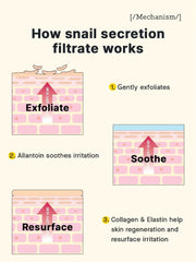 Brightening , Repairingc, Snail Mucin Serum , All Skin Type , Makeupstashpk