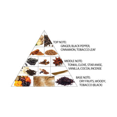 Warm Spicy, Sweet, Vanilla, Tobacco, Cinnamon,Fruity, Softspicy, Anis, Woody, Powdery, Perfume, Loang Lasting , Unisex, Makeupstash