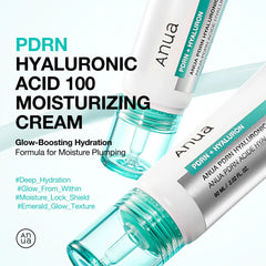 Anua - PDRN + Hyaluronic Acid 100 Moisturizing Cream 60ml-Makeup Stash Pakistan
