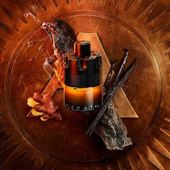 Azzaro The Most Wanted Parfum For Men 100ML - Makeup Stash Pakistan