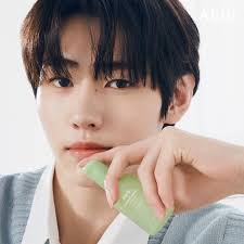 Abib – Heartleaf Sun Essence Calming Pump 50ml Makeup Stash Pakistan