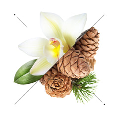 Essens Perfume Men m044-50ml - Makeup Stash Pakistan