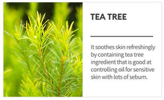 Missha - Airy Fit Tea Tree Mask Sheets 20ml - Makeup Stash Pakistan