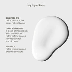 Glowing Skin Toner , Hydrating , Nourishing , Milk Toner , pH Balanced Toner , Brightening Skin , Makeupstashpk
