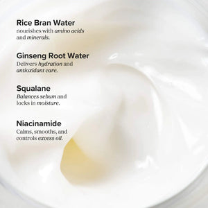 Beauty of Joseon Dynasty Cream, Korean Face Cream, Anti-Aging Moisturizer, Brightening Cream, Ginseng Face Cream, Niacinamide Moisturizer, Hydrating Korean Cream,Makeupstashpk