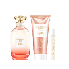 Travel Spray ,Luxury Fragrance, Makeup Stash Pakistan