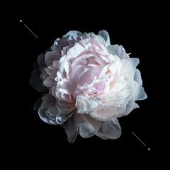 Essens Perfume women w190-50ml - Makeup Stash Pakistan