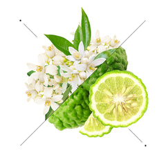 Essens Perfume women w185-50ml - Makeup Stash Pakistan