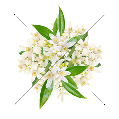 Essens Perfume women w192-50ml - Makeup Stash Pakistan