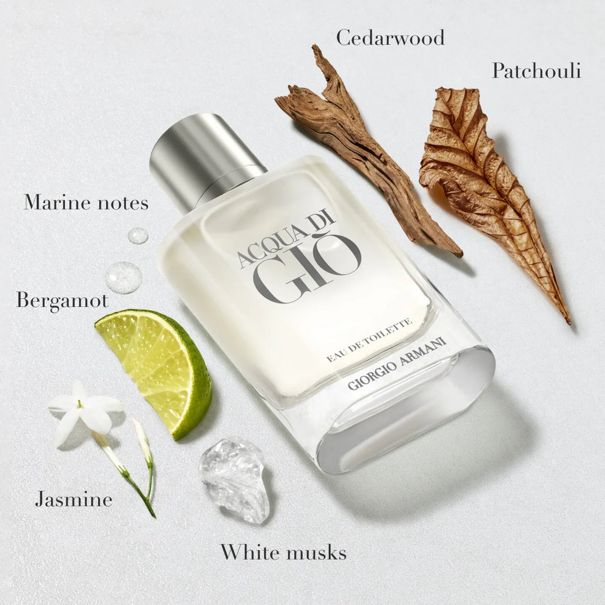 Giorgio Armani Acqua di Giò Pour Homme 30ml Eau de Toilette (Without Box) – Authentic Men’s Fragrance