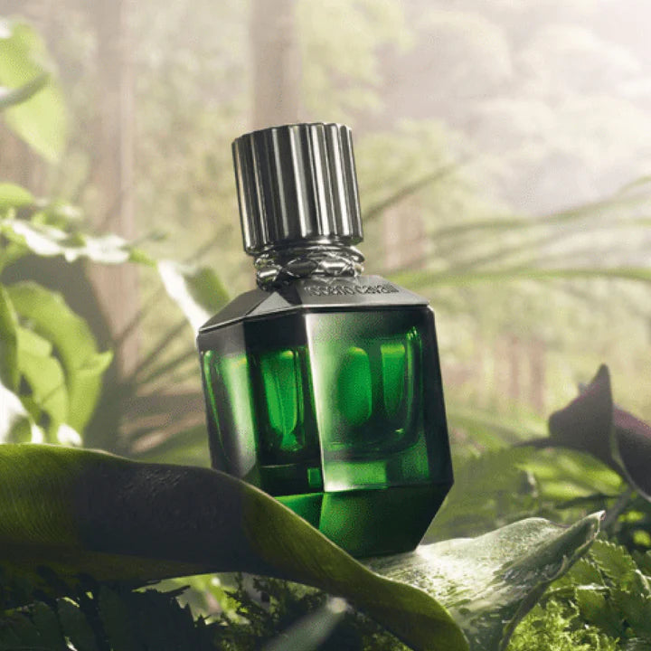 Roberto Cavalli,Men Perfumes,Fragnance For Men,Long lasting,Makeup Stash Pakistan