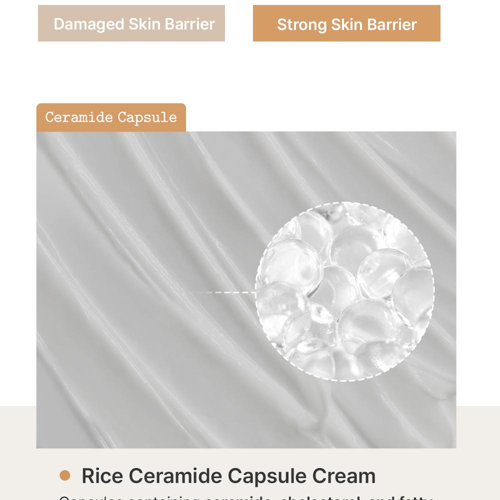 Fully - Rice Ceramide Capsule Cream 90ml - Makeup Stash Pakistan
