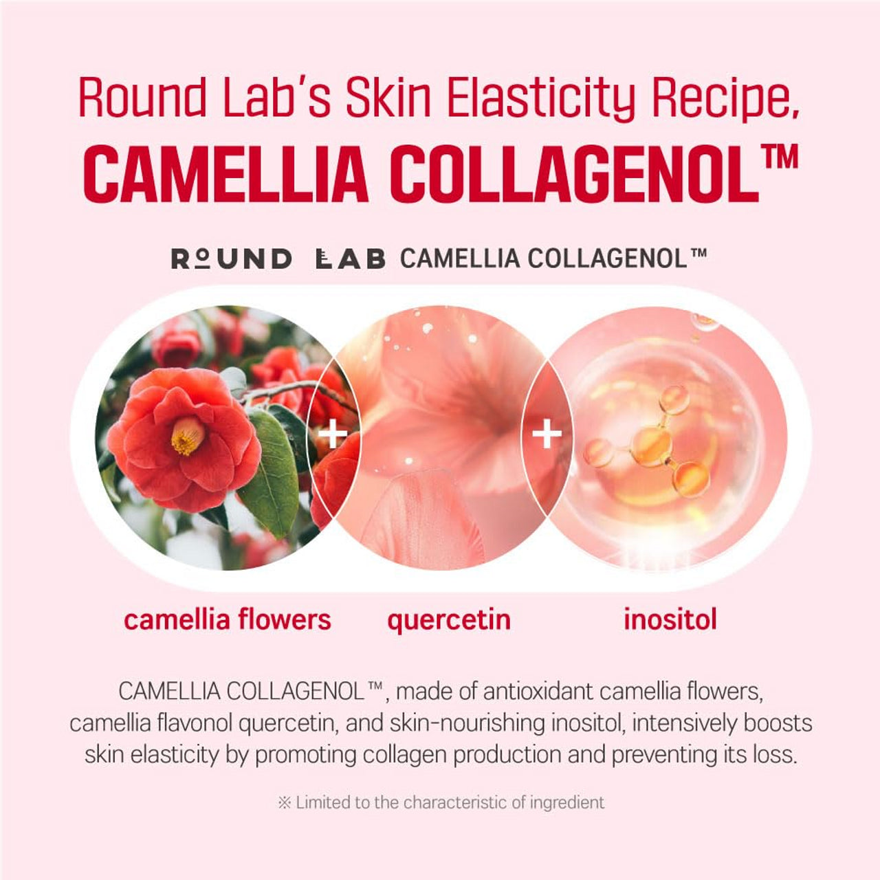 Round Lab - Camellia Deep Collagen Firming Cream 50ml