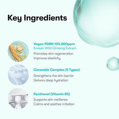 VT Cosmetics, VT PDRN Essence 100, Korean skincare essence, hydrating essence, skin repair essence, PDRN skincare, Korean beauty products, glow essence Korea,Makeupstashpk