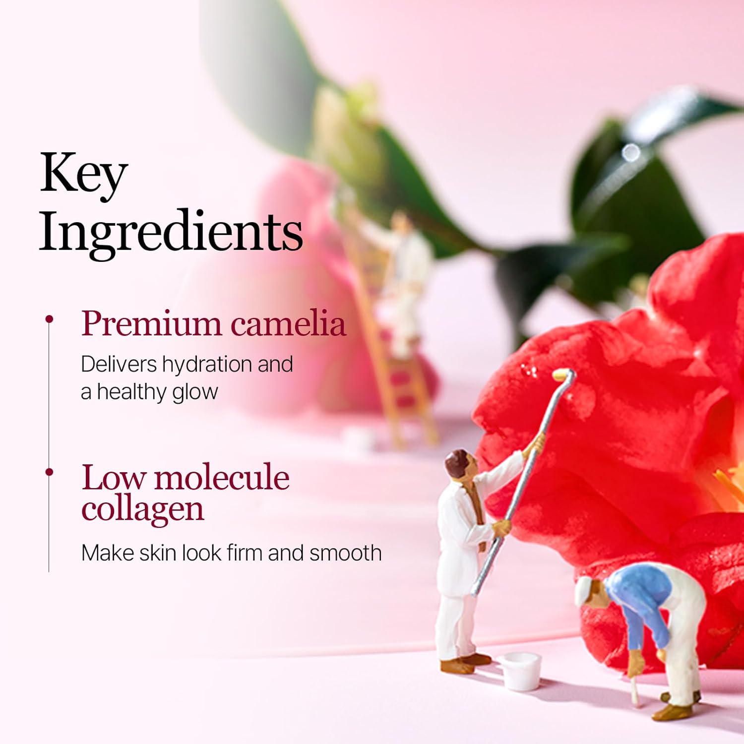 collagen firming mask, Camellia sheet mask, Korean anti-aging mask, hydrogel face mask K-beauty, hydrating firming mask, skin elasticity mask, glow boosting mask, collagen mask sheet, Round Lab Camellia mask - Makeup Stash Pakistan