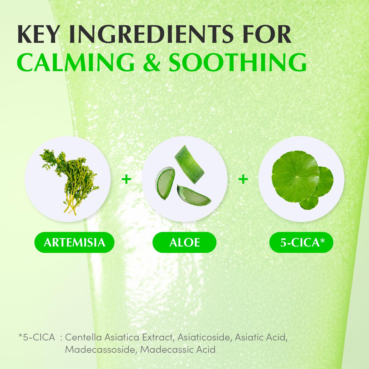 Eqqualberry serum, Aloe calming serum, PDRN serum, soothing face serum, sensitive skin serum, redness relief serum, hydrating serum Korea, skin repair serum,Makeupstashpk