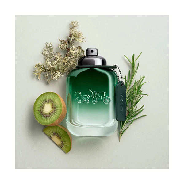 – Fresh & Modern, Woody ,Aromatic Scent, Perfume, Makeup Stash Pakistan