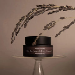 Haruharu - Black Rice Hyaluronic Cream Unscented 50ml - Makeup Stash Pakistan
