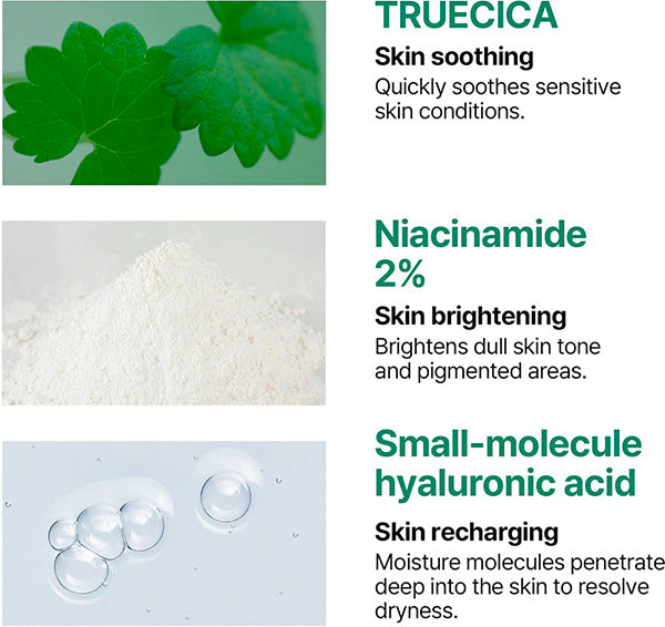 Truecica Suncream, Korean Sunscreen Pakistan, Aqua Calming Sunscreen, Sensitive Skin SPF, Korean Sunblock, Hydrating Sunscreen, Some By Mi Pakistan, Centella Sunscreen, Lightweight SPF Cream, Acne Prone Skin Sunscreen - Makeupstashpk