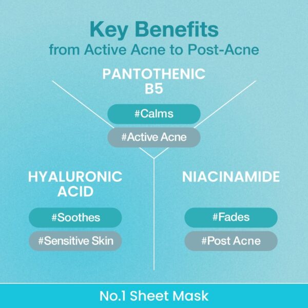 Numbuzin - No.1 Pantothenic B5+ Hyaluronic Acid Clear Mask Sheet 26ml - Makeup Stash Pakistan