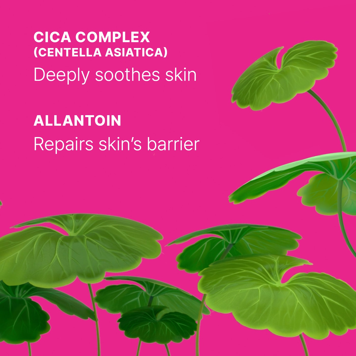 tiger grass mask, calming sheet mask Korea, centella mask set, sensitive skin mask, acne soothing mask, Korean sheet mask bundle, hydrating face mask, redness relief mask - Makeup Stash Pakistan